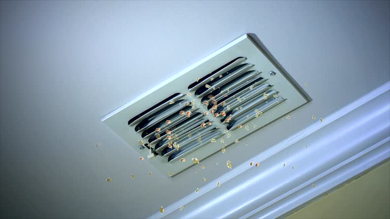 Best Affordable HVAC Duct Cleaning  in Lincoln, AR