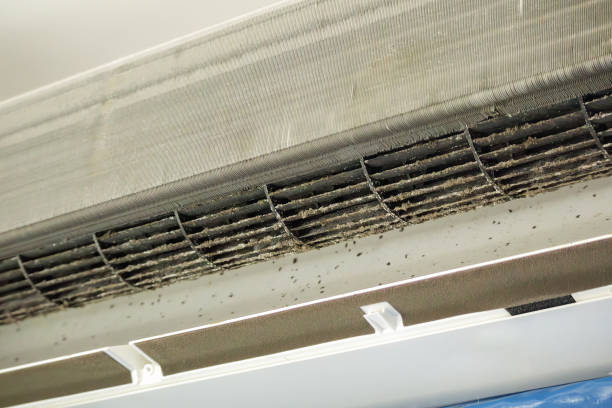 Best HVAC Air Duct Cleaning  in Lincoln, AR